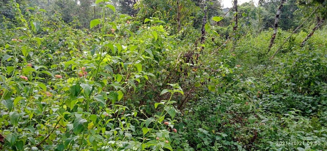 C:\Users\Nitro5\Downloads\mewan yt\WhatsApp Image 2023-03-14 at 5.54.30 PM.jpeg